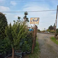 نسیم-شهر700متر-زمین-باغستان-شفق