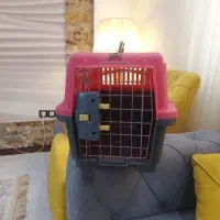 باکس حمل سگ و گربه