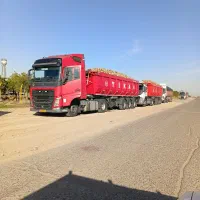 چغندر قند تازه تمیز درشت