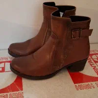 کیف و کفش مجلسی|کیف، کفش، کمربند|بیجار, |دیوار