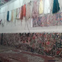 فرش سالاری 30 رج|فرش|تبریز, |دیوار