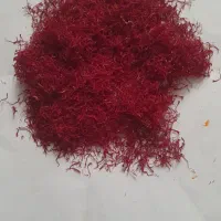 زعفران خشک امسالی|خوردنی و آشامیدنی|نیشابور, بزرگمهر|دیوار