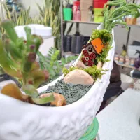 گل ،دیش گاردن|گل و گیاه طبیعی|نیشابور, شهرک ولیعصر|دیوار