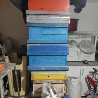 کندوی زنبور عسل