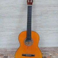 گیتار|گیتار، بیس، امپلیفایر|گرگان, |دیوار