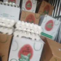 تخم مرغ 11کیلو