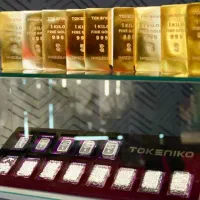 فروش تخصصی شمش طلا (هیوا گالری)