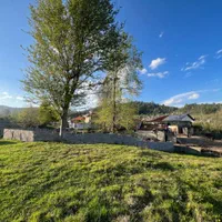 زمین کوهپایه ای ۳۹۰متری در جاده ماسوله (ماکلوان)