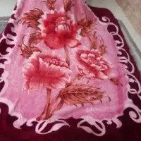 پتو|رختخواب، بالش، پتو|مشهد, توس (بلوار توس)|دیوار