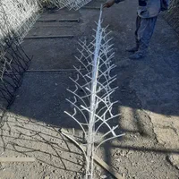 فروشنده مستقیم حفاظ دیواری مدرن و کلاسیک