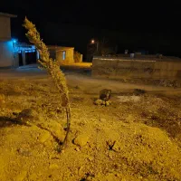 زمین مارگون|فروش زمین و ملک کلنگی|مارگون, |دیوار