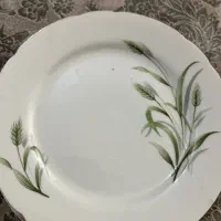 چینی ژاپن|ظروف سرو و پذیرایی|شیراز, ستارخان|دیوار