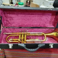 ترومپت بیوشر امریکا