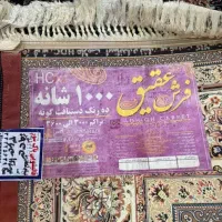 دوعدد فرش ۶ متری و یک عدد ۱.۵ متری(۱۰۰۰شانه)|فرش|رشت, چمارسرا|دیوار