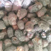 فروش10تن خرما کده