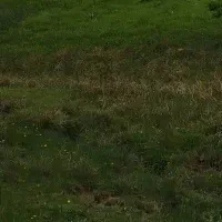 راهنمایی کن