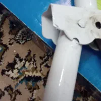 گهواره مولود آبی|اسباب و اثاث بچه|قوچان, |دیوار