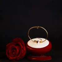 عکاسی تبلیغاتی(برای همه‌ی پلتفرم‌ها)+ادمین تبلیغات