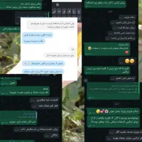 روغن ترکیبی مو درمان ریزش مو|آرایشی، بهداشتی، درمانی|برازجان, |دیوار