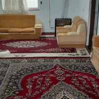سویت  صدمتری ساحل طلای