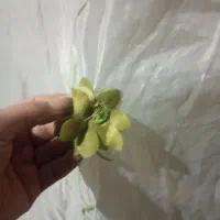 پرده اتاق خواب