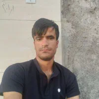 مدارکم گمشده به نام حسین سلامی