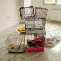 قفس ملزومات پرنده