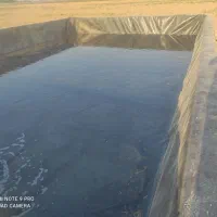 باغ پسته و زمین زراعی|فروش دفتر صنعتی، کشاورزی، تجاری|رونیز, |دیوار