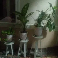 گلدان *گل*پایه *طبیعی*