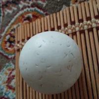 سنگ کلکسیونی