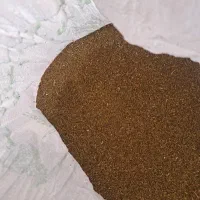 بذر شبدر دو چین
