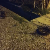 لوله بازکنی|خدمات پیشه و مهارت|علیآباد کتول, |دیوار