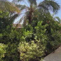 خانه ویلایی فروشی