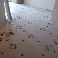 نصب کاشی و سرامیک با ۳۵سال سابقه|مصالح و تجهیزات ساختمان|چمستان, |دیوار