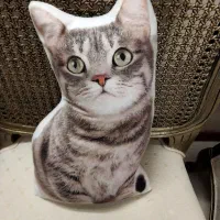 عروسک گربه کوسن دکوری هدیه