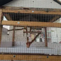 قفس|لوازم جانبی حیوانات|مسجد سلیمان, |دیوار