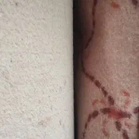 توپ موکت ۷۵ متری