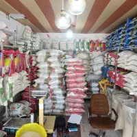 برنج طارم پاکوتاه شیروان حراج واقعی