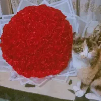 گل ربانی|گل مصنوعی|قوچان, |دیوار