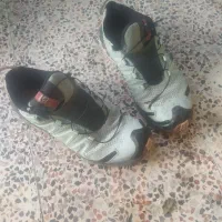 کفش سالومون