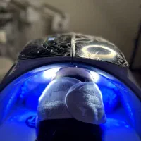 فشیال و اسکراب اسکالپ بطور تخصصی|خدمات آرایشگری و زیبایی|سبزوار, کاشفی شمالی (دادگستری)|دیوار