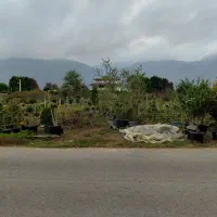 زمین ۱۰۰۰ متری مسکونی اکازیون هلوکله چابکسر