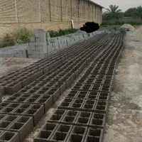 نیروی کار بلوکزنی