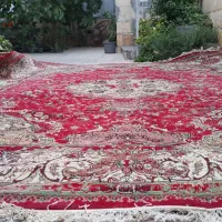 فرش ماشینی|فرش|مراغه, |دیوار