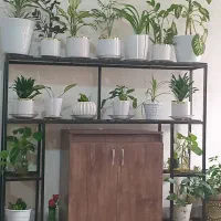 پایه گلدان جا گلدانی مناسب برای دور گلدان شلف قفسه