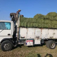 ۶تن مدل ۸۶|خودرو سنگین|مشهد مرغاب, |دیوار