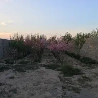 باغچه ۶۴۰متری آب برق گاز|فروش زمین و ملک کلنگی|رباطکریم, پیغمبر|دیوار