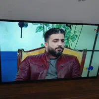 ال ای دی 43 اینچ TSL در حد صفر