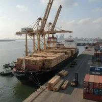 باغ صنوبر، کارخانه پول‌سازی شما در آینده نزدیک|خدمات باغبانی و درختکاری|اردبیل, |دیوار