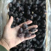 خرما درجه دو تمیز  . ۲۰۰عدد مادر کارتن